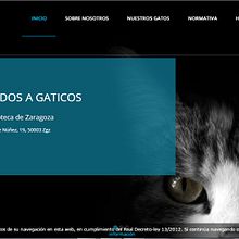 Gaticos Zgz. Un proyecto de Desarrollo Web y Diseño Web de JARA AINOZA FARLED - 27.09.2016