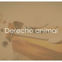 Jornadas de Derecho Animal. Un proyecto de Diseño gráfico de Conchi Fernández Regal - 26.09.2016