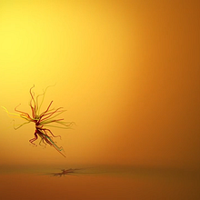 Dancing Particles. Un proyecto de Dirección de arte, Motion Graphics y Vídeo de aitormolerogarcia - 28.09.2016