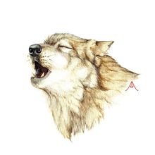 Animals in danger (facing extinction). Un proyecto de Ilustración tradicional de Ana Albares Jiménez - 30.04.2016