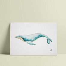 Ballena jorobada | 2016 . % eluguina tarafından hazırlanan Geleneksel illüstras, Ve on projesi - 09.29.2016
