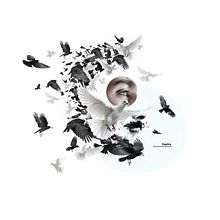 FanArt Collages. Un progetto di Street Art, Collage, Direzione artistica e Design di Diego - 01.10.2016