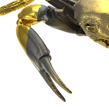 Crab Ein Projekt aus dem Bereich 3D, Kunstleitung, Design, Grafikdesign und Traditionelle Illustration von Alejandro Olmedo - 02.10.2016