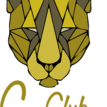 GymClubLion. Un proyecto de Arte urbano, Br, ing e Identidad, Desarrollo Web, Diseño, Diseño de calzado e Ilustración tradicional de Ana Morente Páez - 02.10.2016