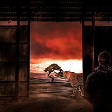 Mi Proyecto del curso: Secretos del fotomontaje y el retoque creativo "El ultimo árbol del planeta" gracias a Carles Marsal y a Domestika. aprendí muchísimo y mejorare con la practica. Gracias!  . Un proyecto de Fotografía de Pablo - 04.10.2016