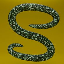 "S"nake. 3D, Animation, Calligraph, Graphic Design, Motion Graphics, Photograph, and Post-production project by Tomàs Sala Robinat - 09.27.2016