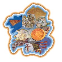 Portada Libro. Un proyecto de Diseño gráfico de Verónica Montero - 04.09.2010