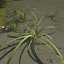 Vegetation Models. 3D project by Richard Alston - 10.05.2016