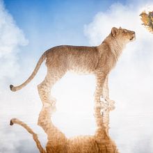 Dreamfografía. Photograph project by David Brat - 10.05.2016