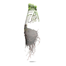 7Up Double Exposition. Br, ing, Identit, Art Direction, and Design project by Mackerita - 04.03.2016