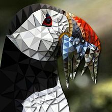 Frailecillo Atlántico poly + sombra. Un projet de Design , Design graphique, Photographie et Illustration traditionnelle de Marlon Brito - 09.10.2016