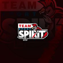 Team Sport Spirit. Projekt z dziedziny Br, ing i ident, fikacja wizualna i Projektowanie graficzne użytkownika Michael Ramos - 07.06.2016
