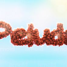 Tipografía peluda. Un proyecto de 3D, Diseño gráfico y Tipografía de María Bravo Guisado - 12.10.2016