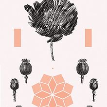 Sabia. Graphic Design, and Traditional illustration project by Dani Cambeiro - 10.12.2016
