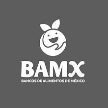 INFORME ANUAL BANCO DE ALIMENTOS DE MEXICO 2015. Br, ing, Identit, and Design project by carolina rivera párraga - 01.12.2016
