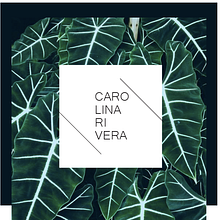 BRANDING CARO RIVERA. Br, ing, Identit, and Design project by carolina rivera párraga - 10.12.2016