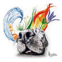 Relatos ilustrados. La ilustraciones del primer concurso de narrativa corta publicados en El 9Nou (Osona/Ripollès y el Vallès Oriental) y en el 9 Magazín. Traditional illustration project by Maria Peix - 09.13.2017