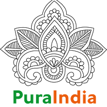 Pura India. Un proyecto de Br, ing e Identidad y Diseño gráfico de Bibiana Casassas Fontdevila - 17.10.2016
