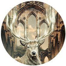 Ciervo.. Projekt z dziedziny Trad, c i jna ilustracja użytkownika Alda C. - 23.07.2017