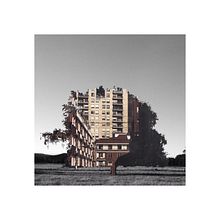 tres tristes TREEgres . Arte plastice de micarab - 10.25.2016