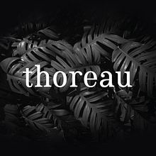 Thoreau type. Calligraph, Design, Graphic Design, Writing, T, and pograph project by Carlos Asencio - 06.26.2016
