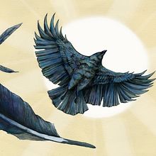 "Crow Brings the Daylight". Book Illustration. Traditional illustration project by Elisa Plance - 10.29.2016
