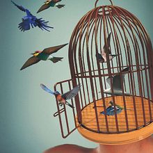 Libertad. Projekt z dziedziny  Kolaż i  Reklama użytkownika Gabriela Molina - 30.10.2016