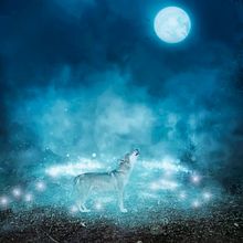 La luna. . Photograph project by David Brat - 11.01.2016