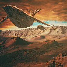 From Mars to Sirius. Un projet de Photographie et Illustration traditionnelle de Siddhartha Saravia Muñoz - 03.11.2016