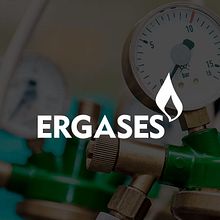 GRUPO ERGASES, C.A. / IDENTIDAD CORPORATIVA + WEB INFORMATIVA WORDPRESS. Br, ing e Identidade, Desenvolvimento Web, e Web Design projeto de Fortunato David - 05.11.2016