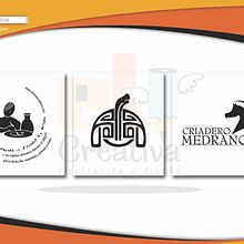 Diseño Logotipos. Un proyecto de Bellas Artes, Dirección de arte, Diseño, Diseño editorial, Diseño gráfico e Ilustración tradicional de Yudi Vargas - 15.11.2016