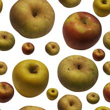 Pattern manzanas. Projekt z dziedziny  Sztuki piękne,  Manager art, st, czn, Design, Projektowanie graficzne i Fotografia użytkownika María Rogles - 15.11.2016