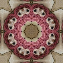 Kaleidofoxti. Projekt z dziedziny  Sztuki piękne,  Kolaż,  Manager art, st, czn, Design, Projektowanie graficzne i Fotografia użytkownika María Rogles - 15.11.2016