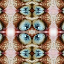 Kaleidoeyes. Projekt z dziedziny  Sztuki piękne,  Kolaż,  Manager art, st, czn, Design, Projektowanie graficzne i Fotografia użytkownika María Rogles - 15.11.2016