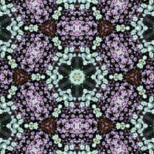 Kaleidoflowers. Un proyecto de Bellas Artes, Collage, Dirección de arte, Diseño, Diseño gráfico y Fotografía de María Rogles - 15.11.2016