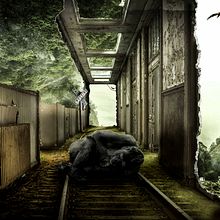 Mi Proyecto del curso: Secretos del fotomontaje y el retoque creativo. Un progetto di Design, Graphic design, Fotografia e Paesaggismo di Nando Lara - 16.11.2016