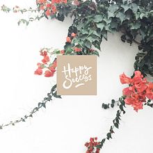 Rebranding Carlota del pozo. Br, ing & Identit project by Aura Elena Sánchez - 11.16.2016