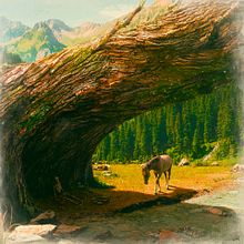 Where Only the Seasons Mark the Paths of Time. Un projet de Photographie et Illustration traditionnelle de Siddhartha Saravia Muñoz - 20.11.2016