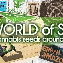 World of Seeds. Un projet de Design graphique de Marina Tejeiro - 21.11.2016