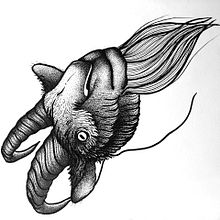LINES-. Un progetto di Illustrazione tradizionale di Aida Rius - 22.11.2016