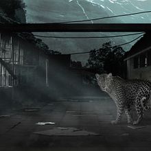 En algún lugar de Hong kong. Design project by Nacho Colás - 12.01.2016