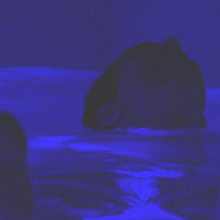 Guillermo Santomá @Studiostore  . Video proyek oleh Nacho Marmol - 12.02.2016