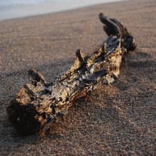 Sea 2. Photograph project by Solveiga - 12.02.2016