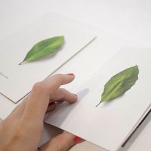 Hacia la luz. Hasta la ausencia. Editorial Design, Graphic Design, and Photograph project by Juan Jareño - 12.04.2016