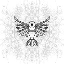 Bird Illustrations. Graphic Design, and Traditional illustration project by Pablo Tradacete - 12.02.2013