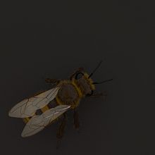 Vídeo 3D: Los sueños se cumplen. 3D, and Animation project by Sergio Pérez Tejero - 12.06.2016