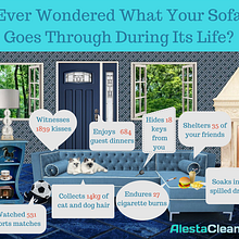 Infographic about your Sofa's Life . Kolase proyek oleh Chrissy Cane - 12.11.2016