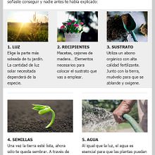 Email: 5 fáciles pasos para crear tu huerto urbano. Un progetto di Design, Marketing, Cop e writing di Iris Álvarez Farell - 08.09.2016