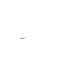 BaroGraphic. Animation, Calligraph, and Motion Graphics project by Barographic - 12.12.2016