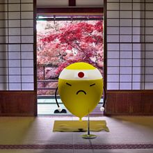 Japanese Baloom. Un progetto di 3D, Fotografia e Illustrazione tradizionale di José María Fernández Sánchez - 13.12.2016